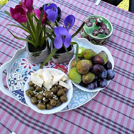 Olive Apartment 波德戈里察 外观 照片