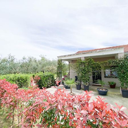 Olive Apartment 波德戈里察 外观 照片