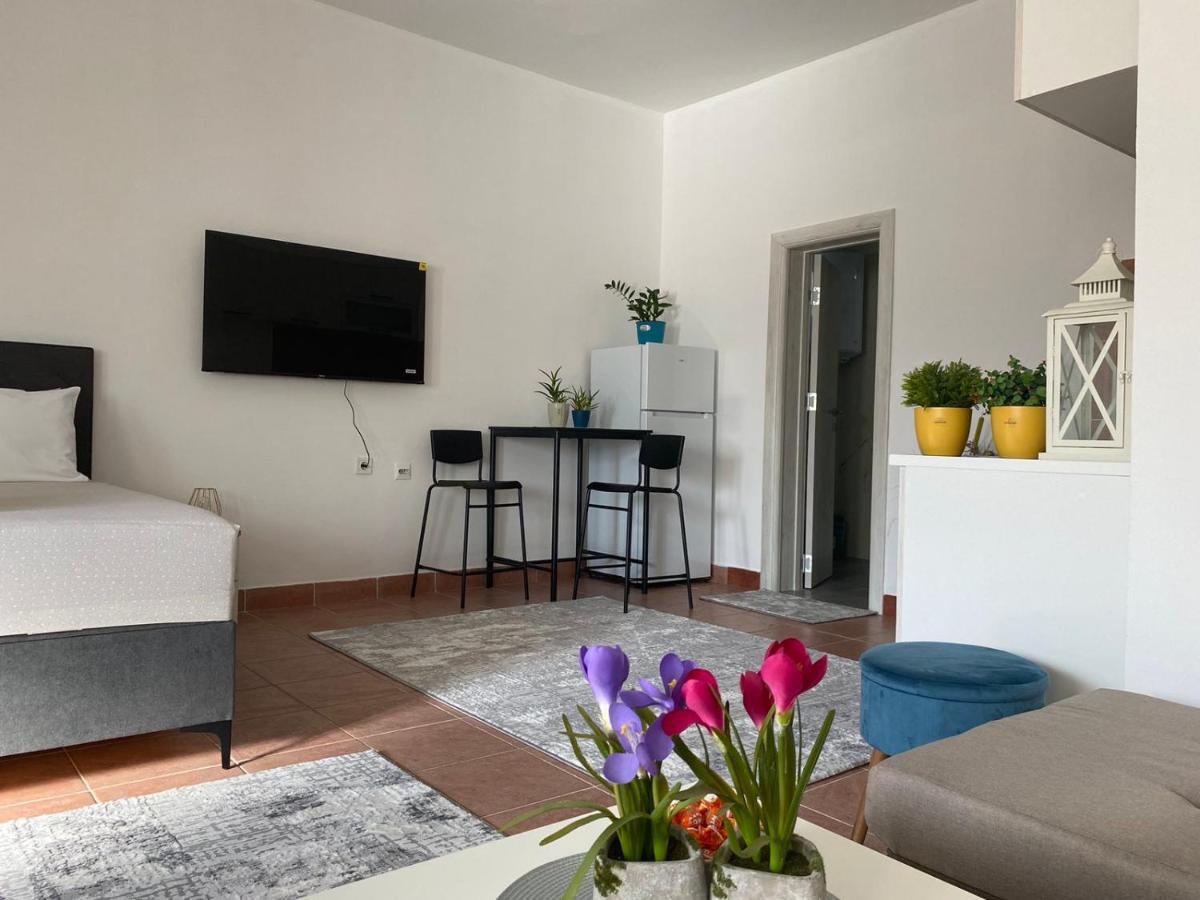 Olive Apartment 波德戈里察 外观 照片