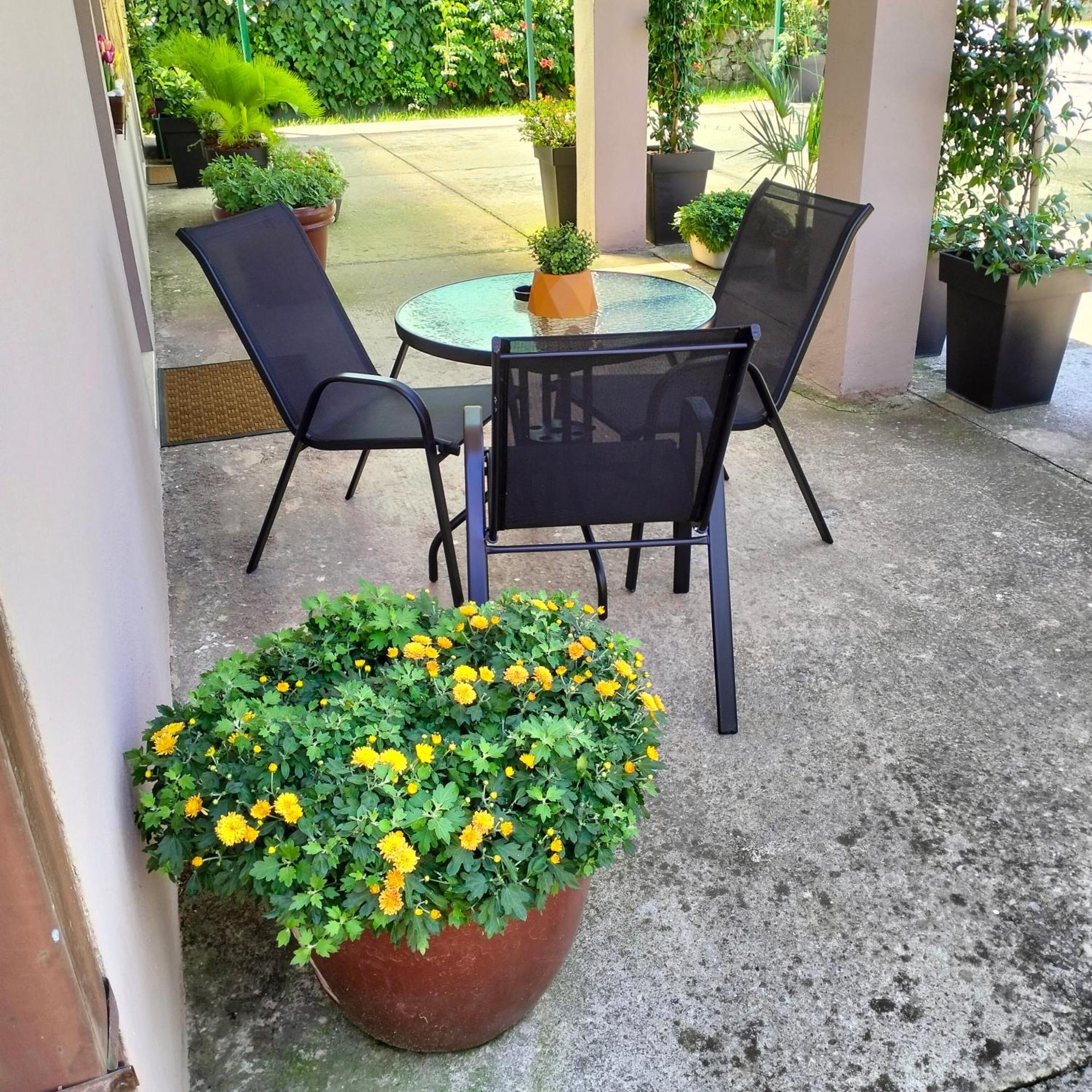 Olive Apartment 波德戈里察 外观 照片