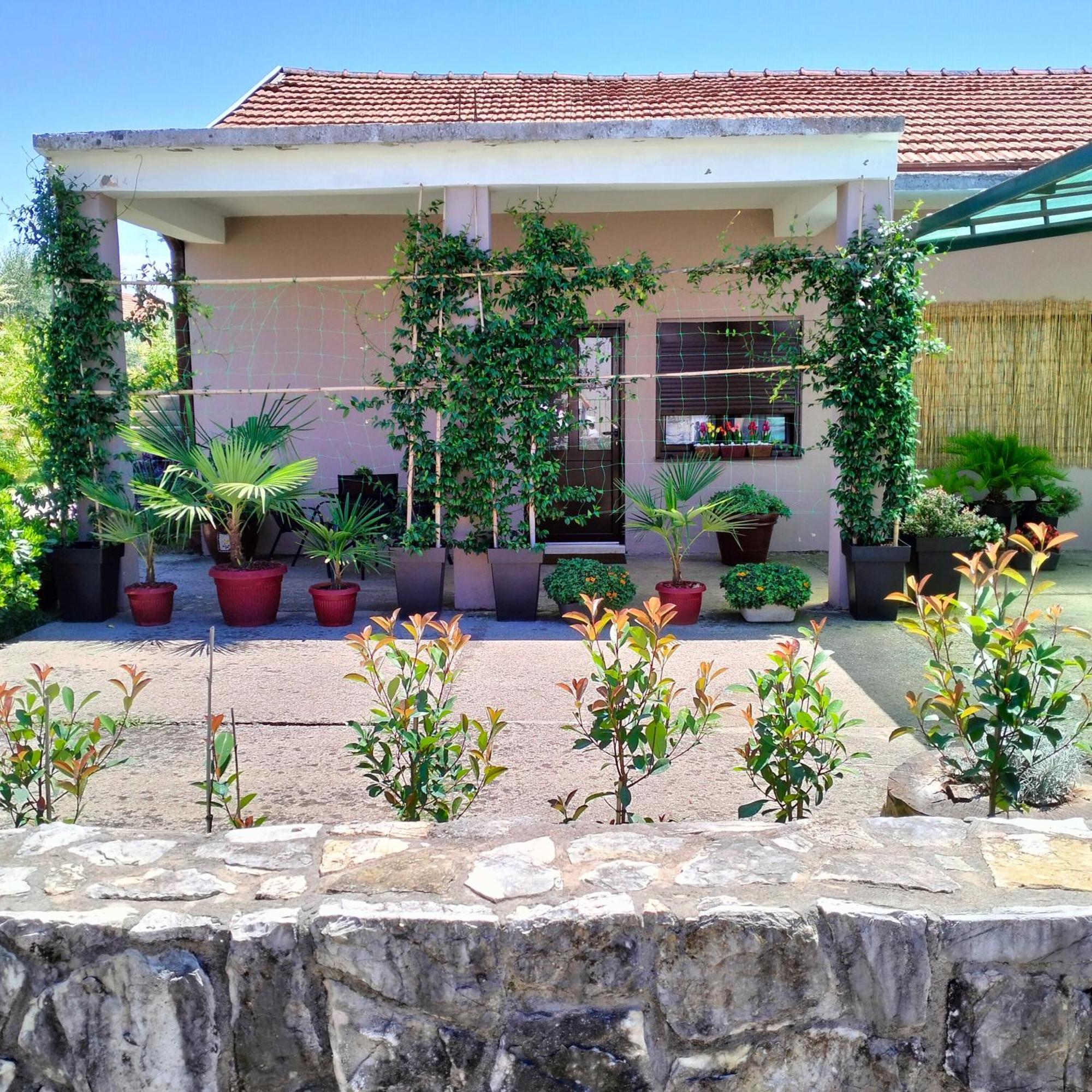 Olive Apartment 波德戈里察 外观 照片