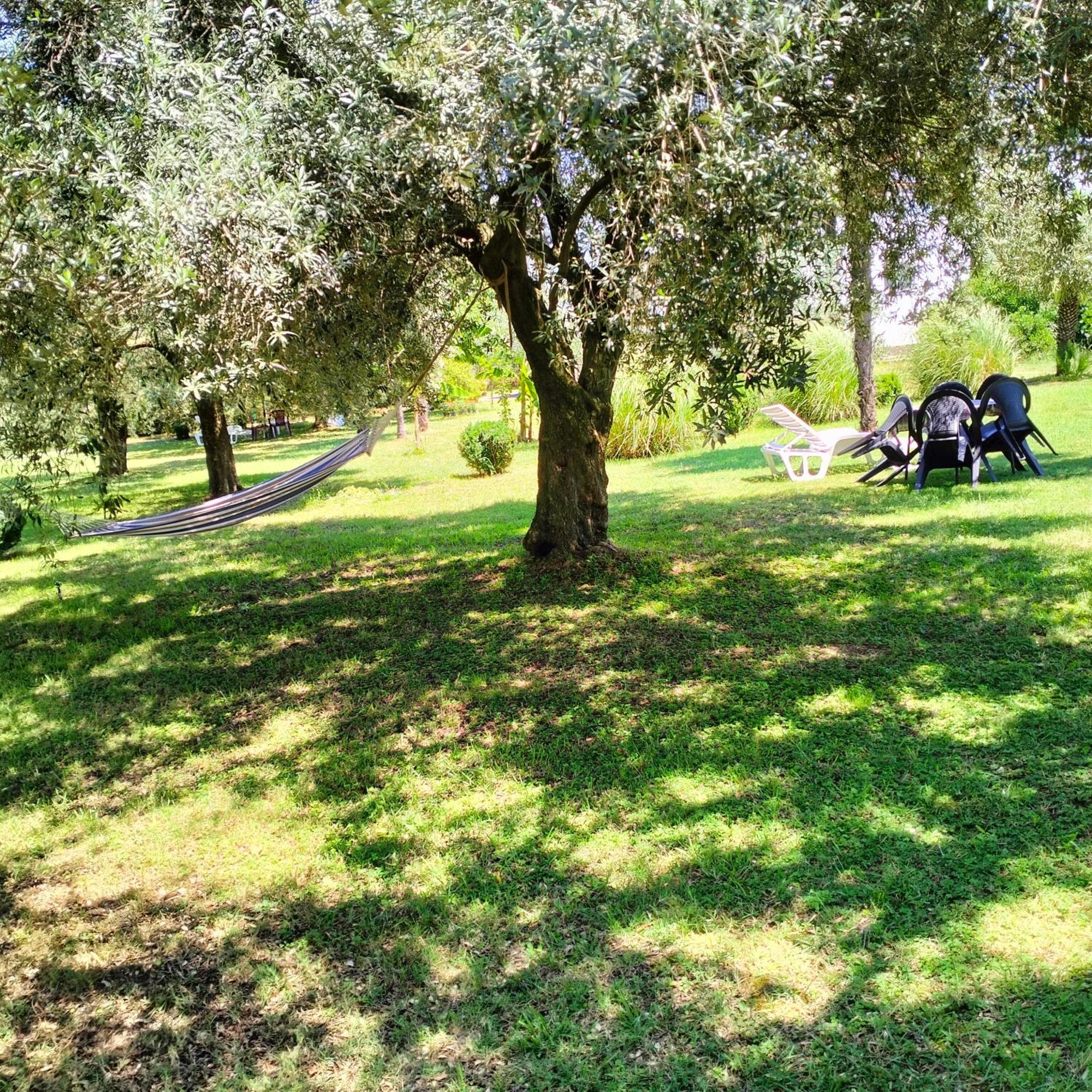 Olive Apartment 波德戈里察 外观 照片