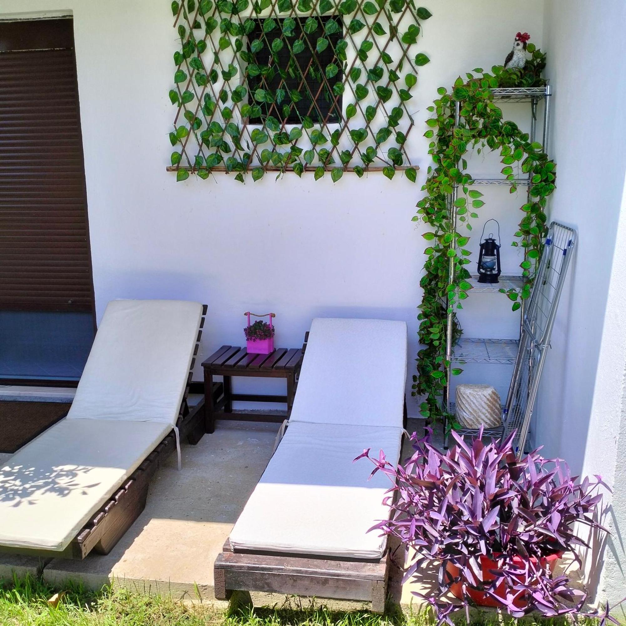 Olive Apartment 波德戈里察 外观 照片