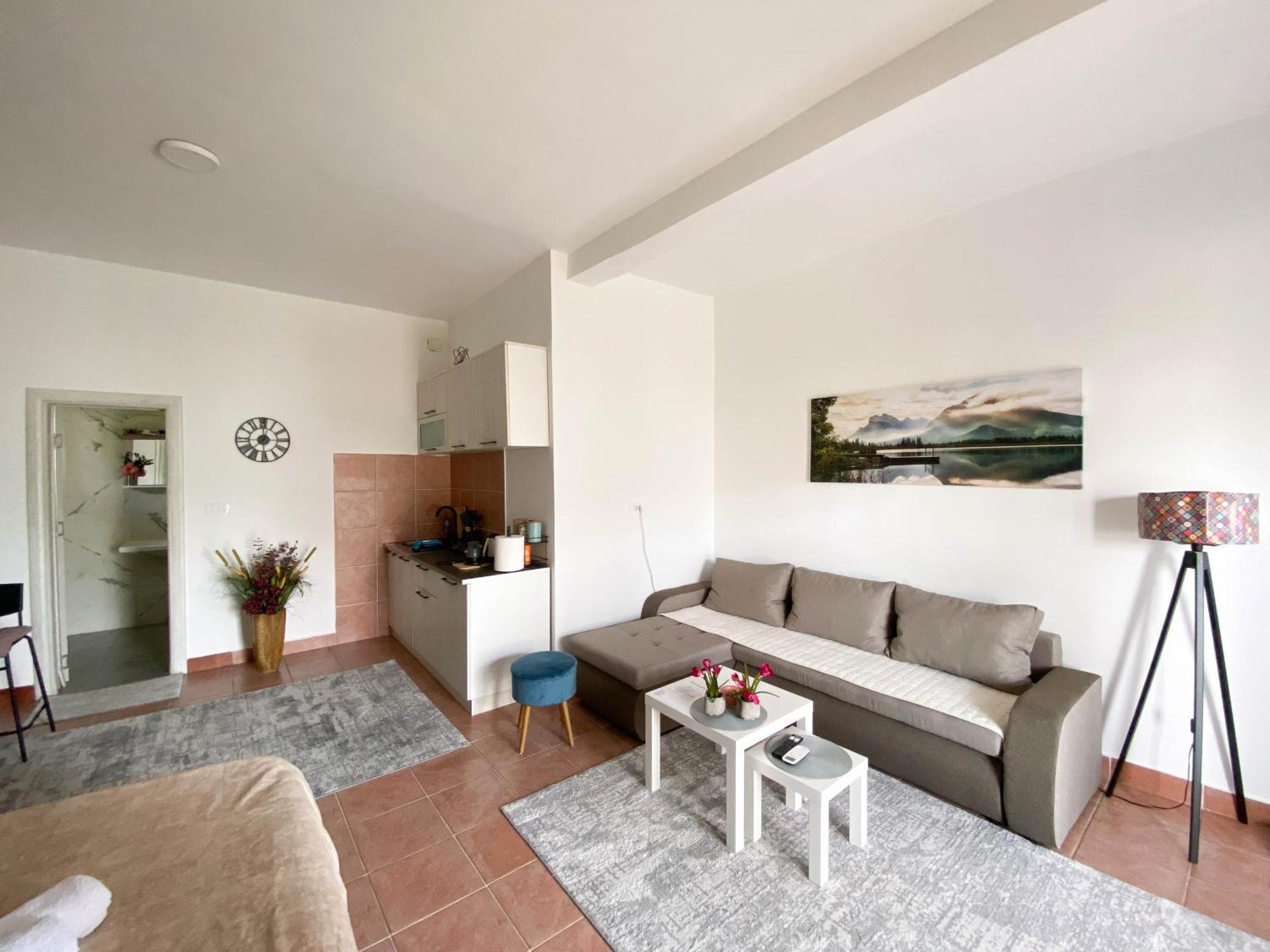 Olive Apartment 波德戈里察 外观 照片