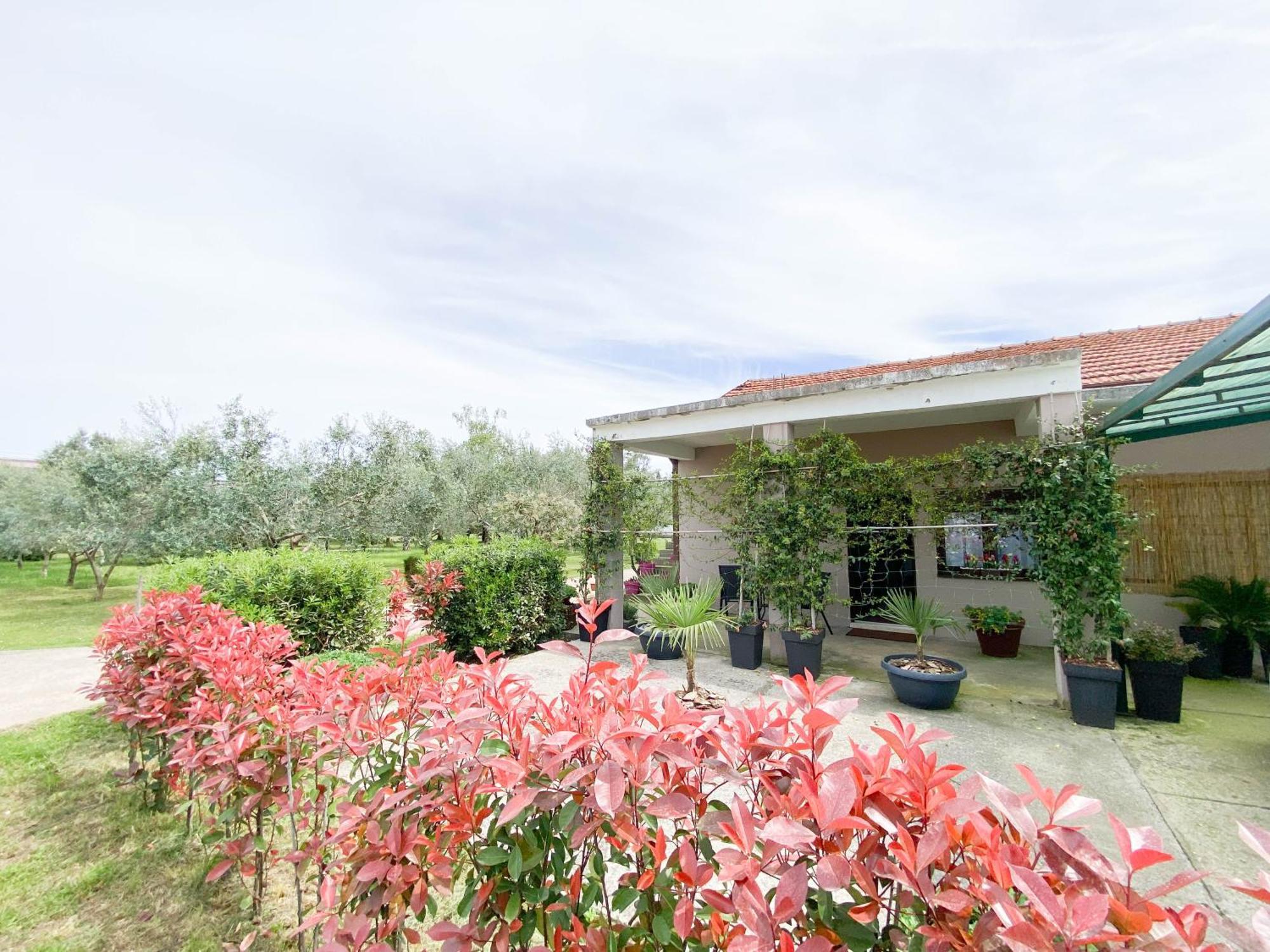 Olive Apartment 波德戈里察 外观 照片